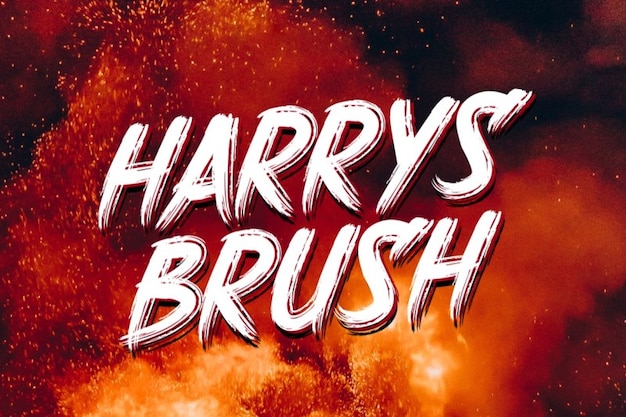 Harrys Brush
