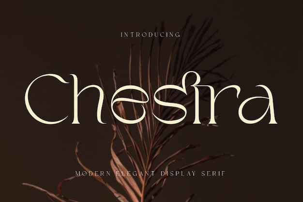 Chestra