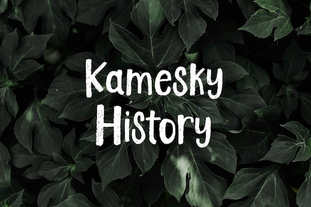 Kamesky History